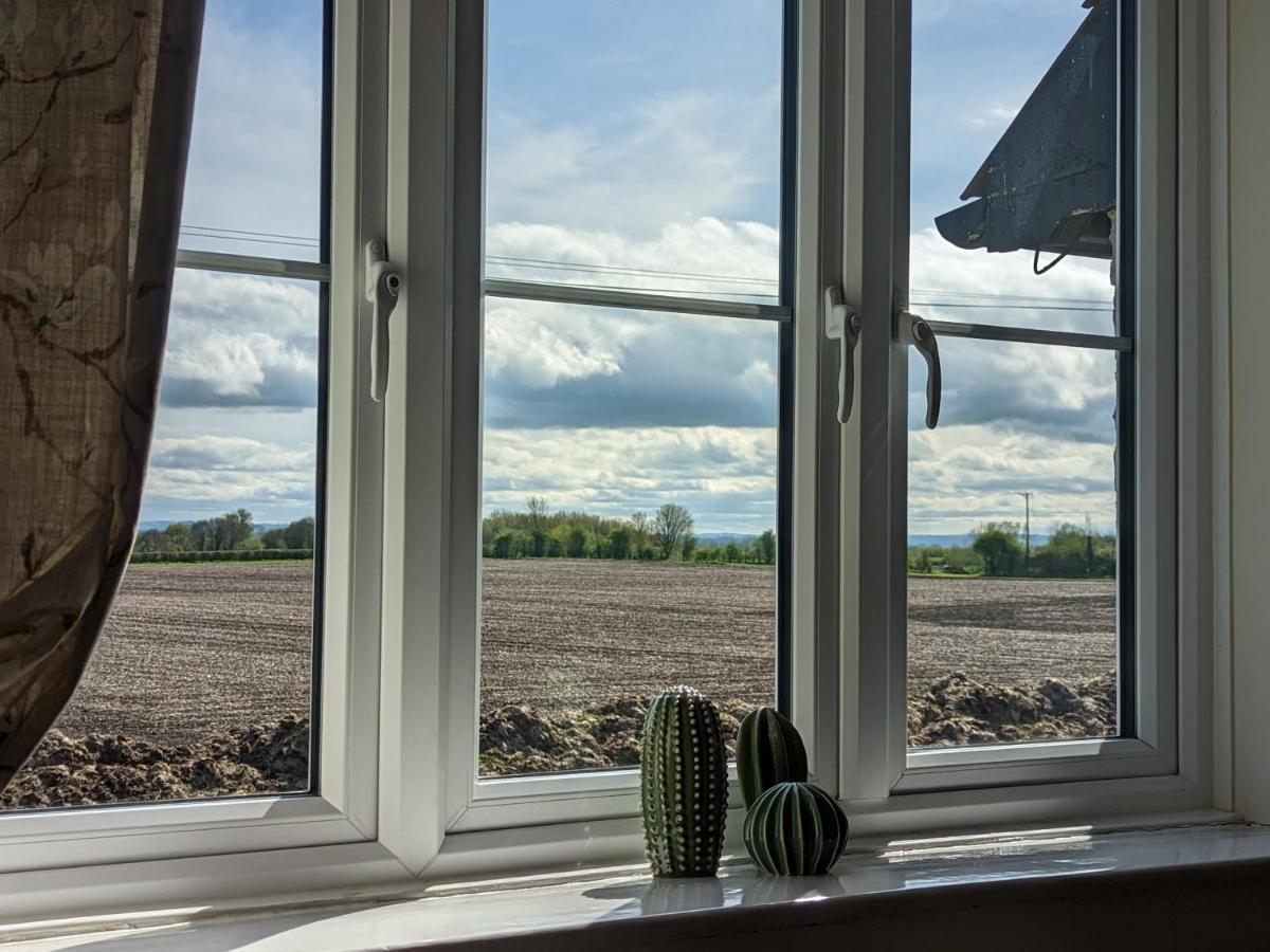 Cosy Family Cottage South Somerset Long Sutton  Extérieur photo